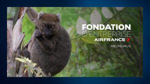 La Fondation Air France : un soutien essentiel