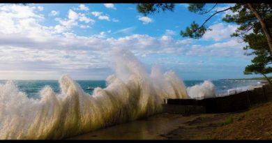 La Houle : Mystères et Merveilles des Vagues
