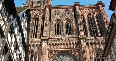 Grand Est, Strasbourg, Reims, vineyard, Alsace, Vosges, forest, cathedral, village