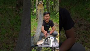 La Nourrice des Serpents