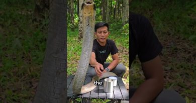 La Nourrice des Serpents