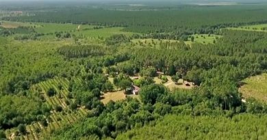 La Nouvelle-Aquitaine peut maudire l’Amérique pour avoir laissé s’échapper cet animal qui menace désormais la plus grande forêt artificielle d’Europe