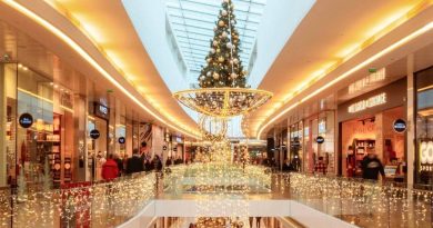 La Toison d’Or donne le coup d'envoi des fêtes de Noël avec Linh