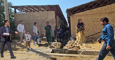La Vie Rurale de Babak : Une Histoire Authentique de Ferme