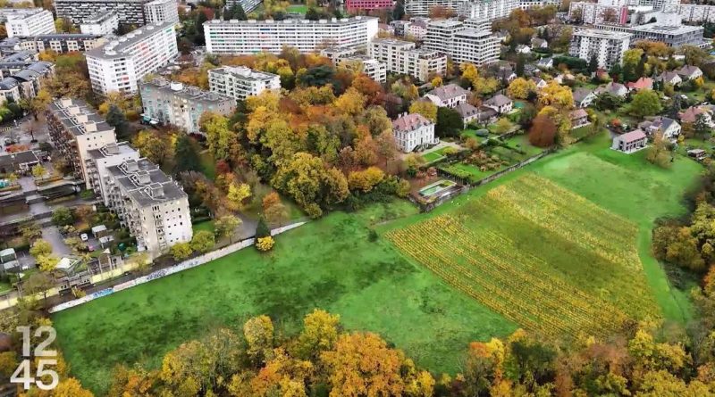 La Ville de Genève vote sur l'achat du domaine de Zep | RTS