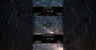 La comète Lemmon C 2025 A6 : un visiteur rare du ciel nocturne