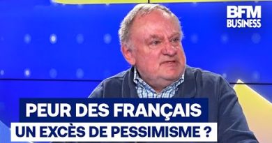 La dette inquiète les Français : un excès de pessimisme ?