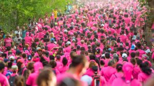 La forêt de l’Étang-Salé se pare de rose pour la 18ᵉ édition d’Odysséa