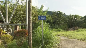 La personne qui serait à l'origine du meurtre du Morne-Vert placée en garde à vue