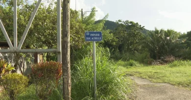 La personne qui serait à l'origine du meurtre du Morne-Vert placée en garde à vue