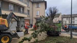 La plantation des arbres a commencé autour de la place Charles-De-Gaulle