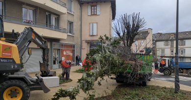 La plantation des arbres a commencé autour de la place Charles-De-Gaulle