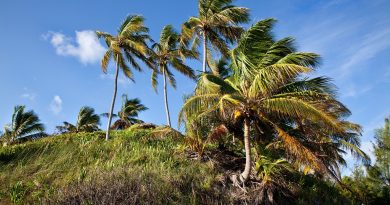 Martinique, Fort-de-France, beach, volcano, palm, rainforest, Creole, boat, island