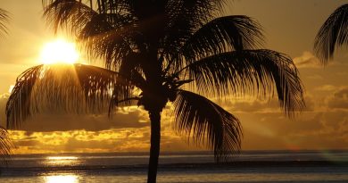 Guadeloupe, Basse-Terre, Pointe-à-Pitre, volcano, beach, palm, waterfall, Creole, island