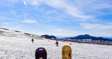 Pays de la Loire, Nantes, Angers, Loire river, castle, vineyard, coast, landscape