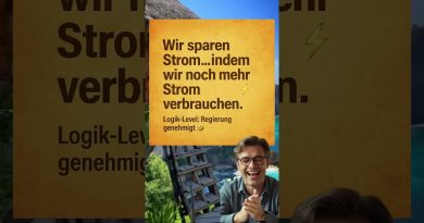 « La transition énergétique allemande : quand économiser coûte plus »