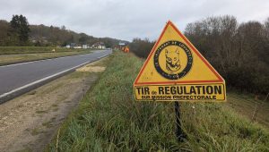 illustration agrandir l