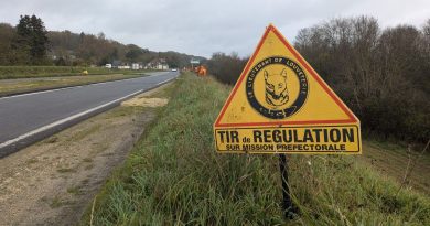 illustration agrandir l