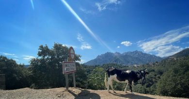 L’année 2025 marque-t-elle le retour du conflit entre les Costa et les Mattei ? (2/2)