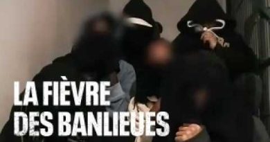 L'année des émeutes dans les banlieues françaises