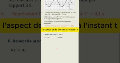 L'apparence de la corde à cet instant précis