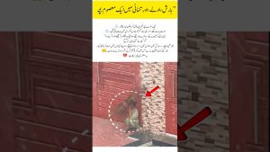 Larmes dans la tempête : l'histoire émouvante d'un enfant