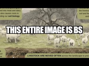 Laura Cunningham vérifie les informations du site Paicines Ranch