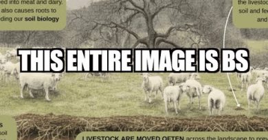 Laura Cunningham vérifie les informations du site Paicines Ranch