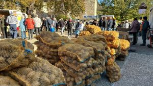 Le 11 novembre 2025, Thueyts célèbre la patate et la mémoire d’André Moulin - ICI