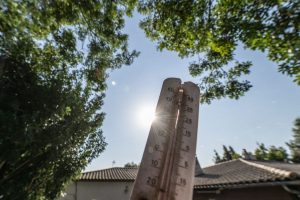 "Le 13 novembre le plus doux" depuis 1930, pourquoi fait-il aussi chaud en ce mois de novembre ?