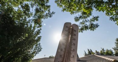 "Le 13 novembre le plus doux" depuis 1930, pourquoi fait-il aussi chaud en ce mois de novembre ?