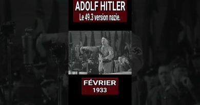 Le 49.3 d'Hitler : l'incendie qui a changé l'Allemagne