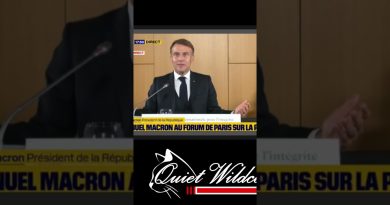 🐱 Le Big M dévoile les enjeux de la politique française