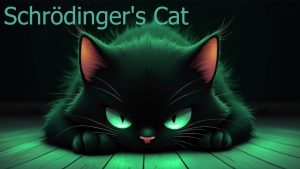 Le Chat de Schrödinger : Une Animation du Point de Vue Félin