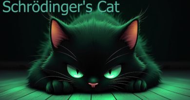 Le Chat de Schrödinger : Une Animation du Point de Vue Félin