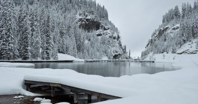 Auvergne-Rhône-Alpes, Lyon, Annecy, Alps, volcano, lake, mountain, ski, village