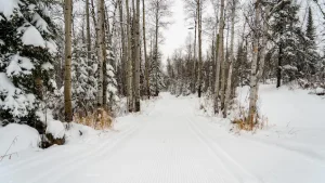 Le Club de ski de fond d’Évain ouvre déjà deux pistes