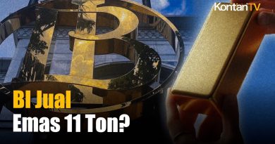 Le Conseil Mondial de l'Or : BI aurait vendu 11 tonnes d'or ?