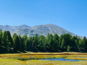 Switzerland, Alps, Matterhorn, lake, mountains, Swiss flag, Geneva