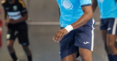 Le GFC aspire l'âme du FAX