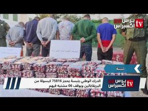 Le Gendarmerie de Tébessa saisit 75 816 capsules de bupropion