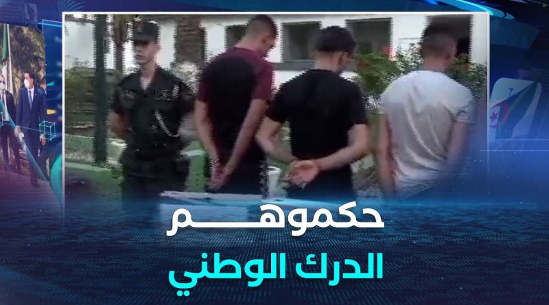 Le Gendarmerie neutralise une bande semant la terreur à Felfla