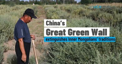 Le Grand Mur Vert de Chine : Reforestation et traditions menacées