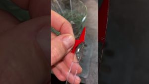 Le Kipyatok enlève les ongles 🥵