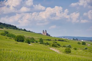 Occitanie, Toulouse, Montpellier, landscape, sea, mountain, vineyard, canal