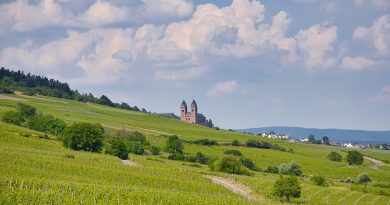 Occitanie, Toulouse, Montpellier, landscape, sea, mountain, vineyard, canal
