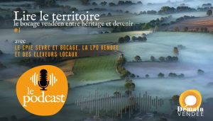 Le Podcast de Demain-Vendée - Lire le territoire, le bocage vendéen entre héritage et devenir #1