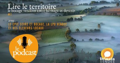 Le Podcast de Demain-Vendée - Lire le territoire, le bocage vendéen entre héritage et devenir #1