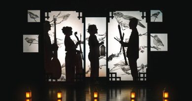 illustration agrandir l