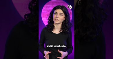 Le STARSHIP v2 résiste avec brio dans l'espace !